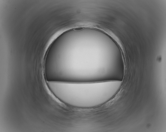 X0000096941389200802080849