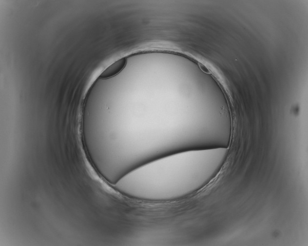 X0000096941390200802080849