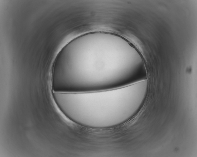 X0000096941391200802080849