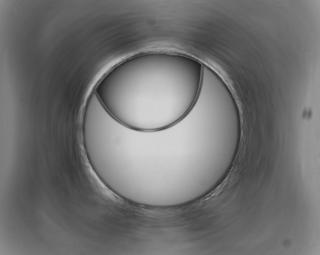 X0000096941392200802080849