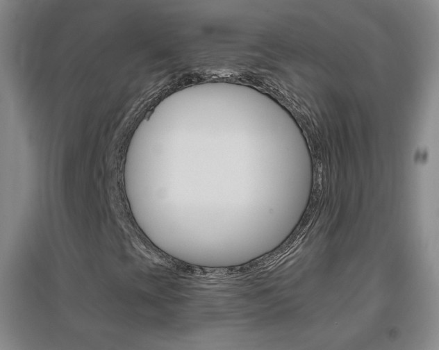 X0000096941393200802080848