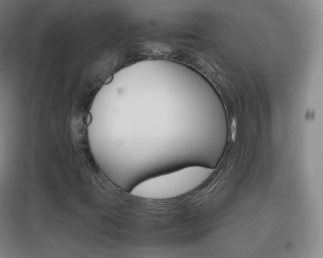 X0000096941395200802080848