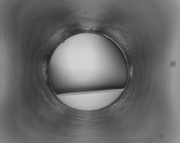 X0000096941396200802080848