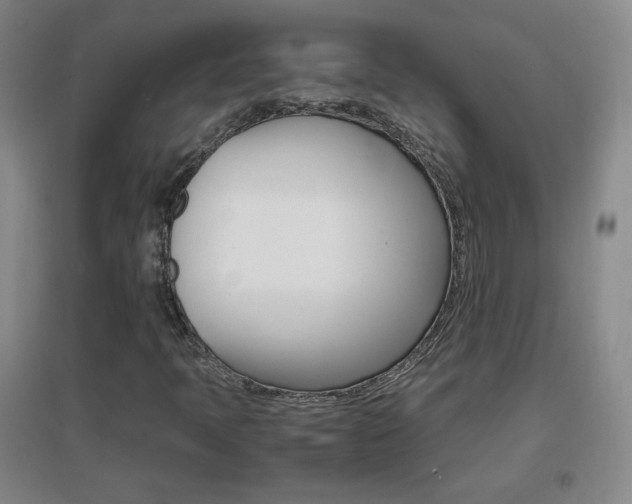X0000096941397200802080848