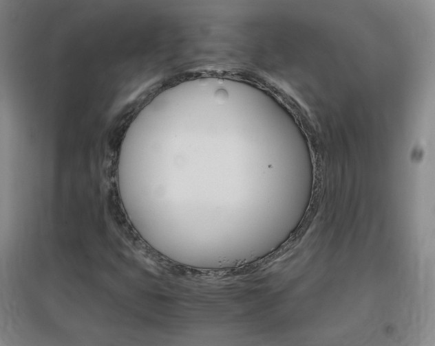 X0000096941399200802080848