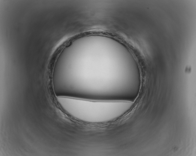 X0000096941400200802080848