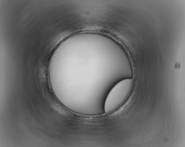 X0000096941401200802080848