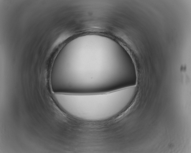 X0000096941402200802080848