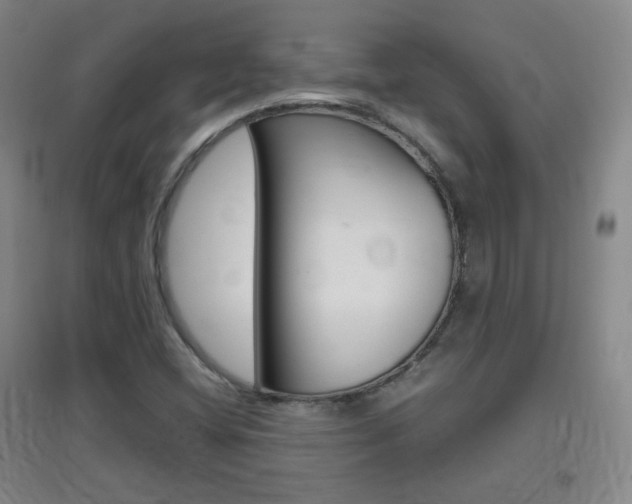X0000096941404200802080848