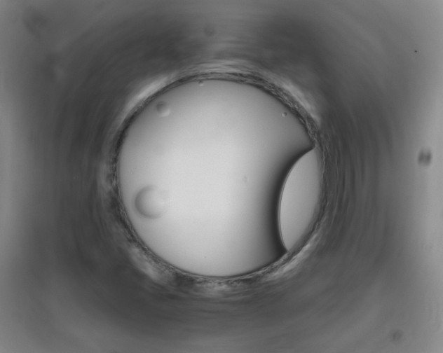 X0000096941405200802080848