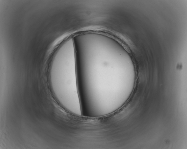 X0000096941406200802080848