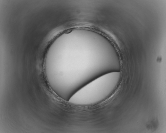 X0000096941407200802080848