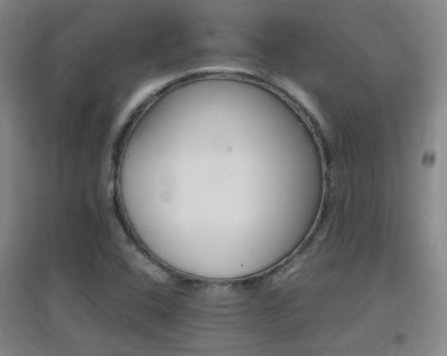 X0000096941408200802080848