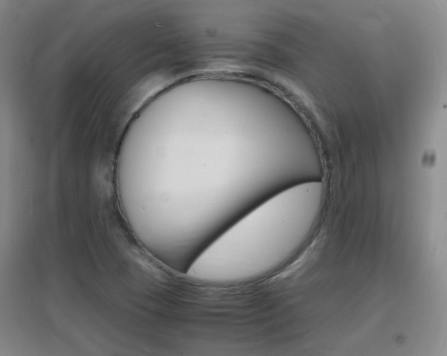 X0000096941409200802080848