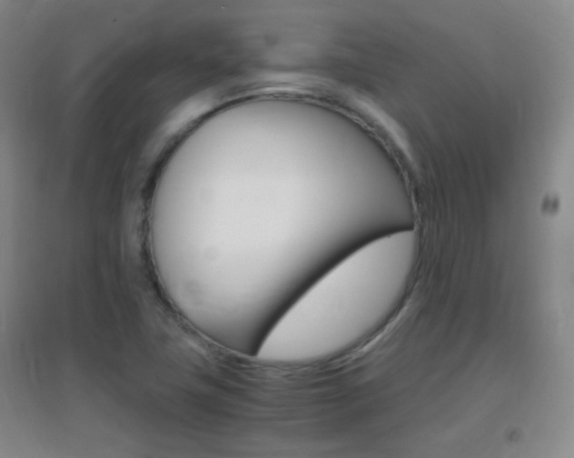 X0000096941411200802080848