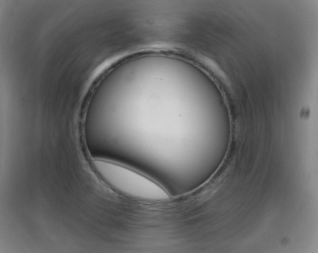 X0000096941412200802080848