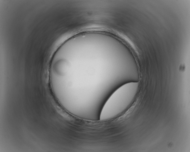 X0000096941413200802080848