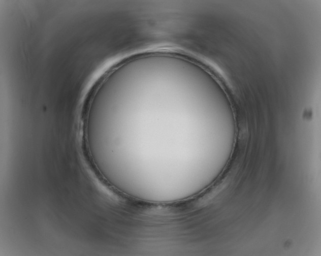 X0000096941414200802080848