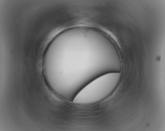 X0000096941415200802080848