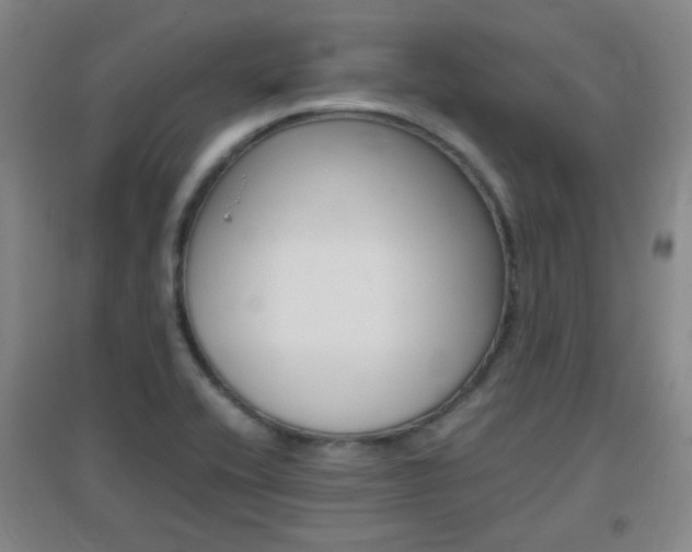 X0000096941416200802080848