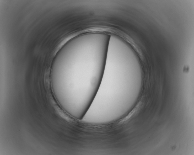 X0000096941417200802080848