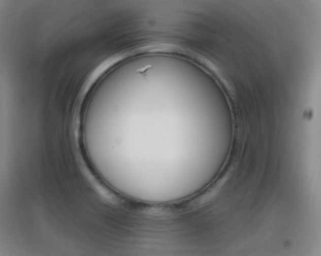X0000096941418200802080848