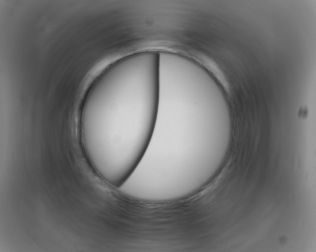 X0000096941419200802080848