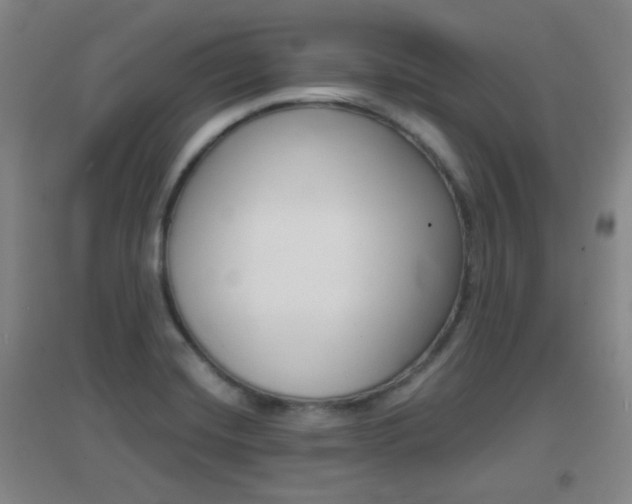 X0000096941420200802080848