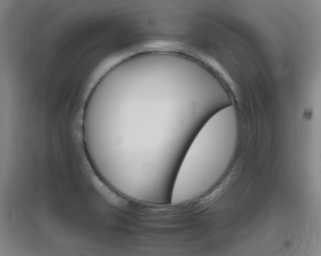 X0000096941421200802080849
