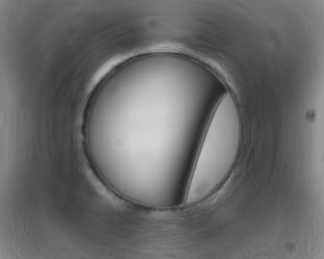 X0000096941422200802080849