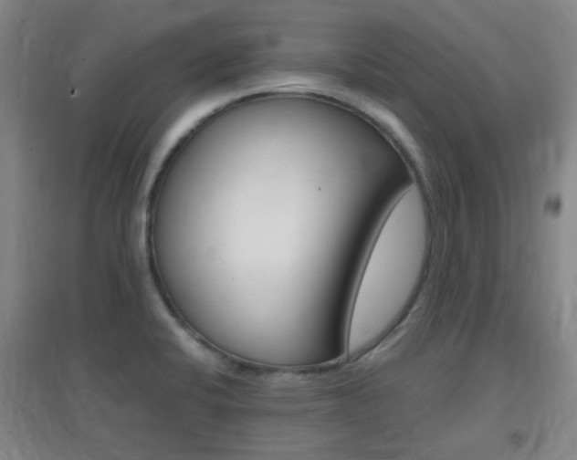 X0000096941424200802080849