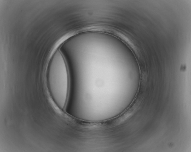 X0000096941426200802080849