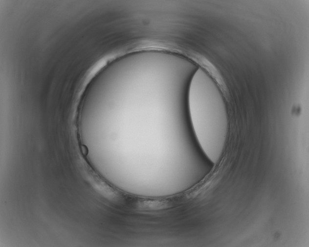 X0000096941427200802080849
