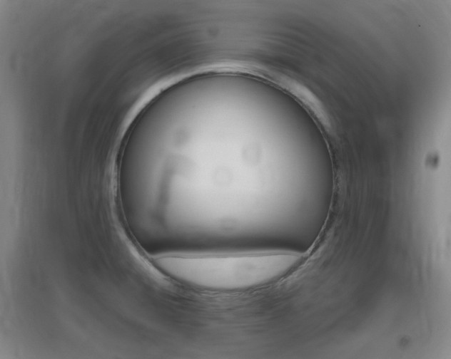 X0000096941428200802080849