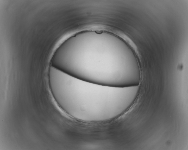 X0000096941429200802080849