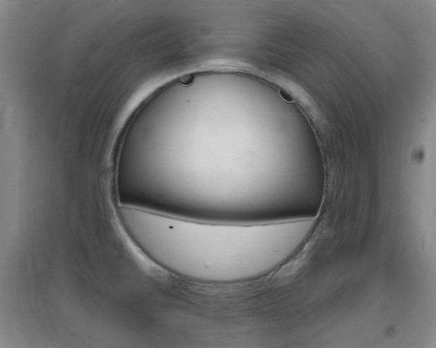 X0000096941430200802080849