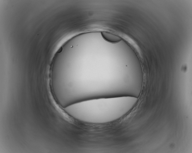 X0000096941431200802080849