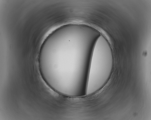 X0000096941432200802080849