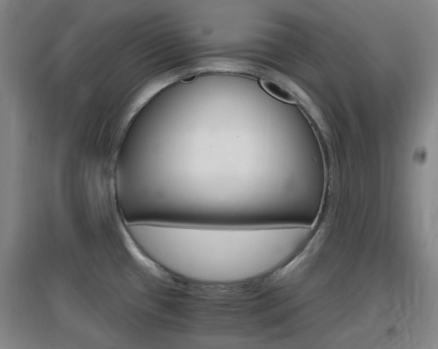 X0000096941433200802080849