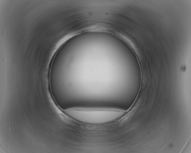 X0000096941434200802080849