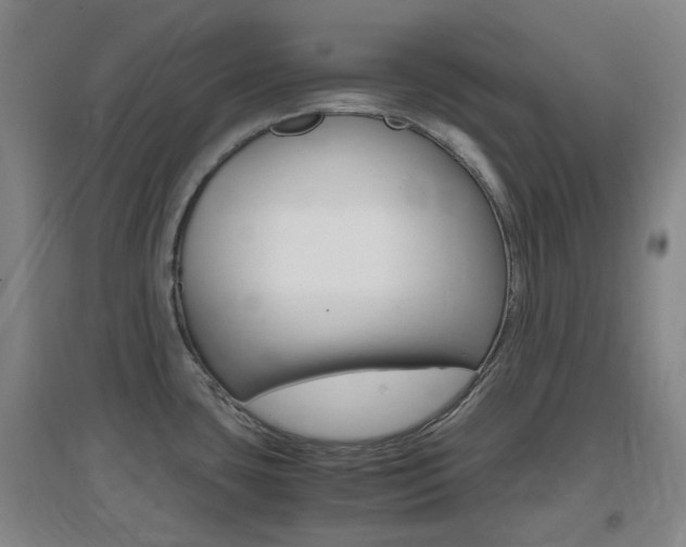 X0000096941435200802080849