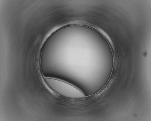 X0000096941437200802080849