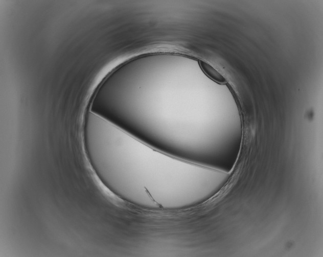 X0000096941438200802080849