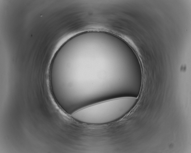 X0000096941440200802080849