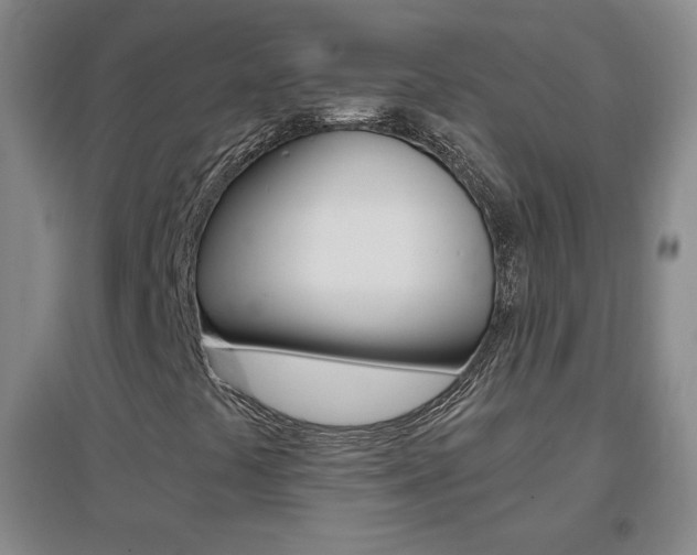 X0000096941441200802080848