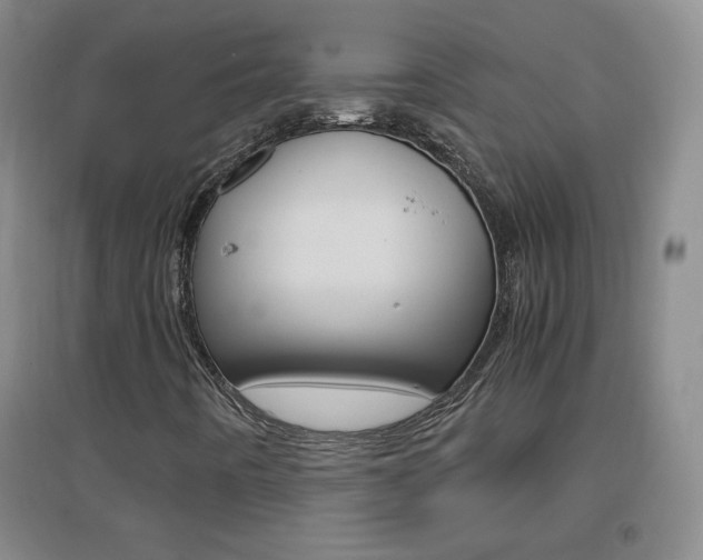 X0000096941442200802080848
