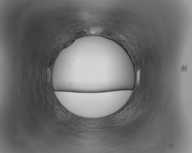 X0000096941443200802080848