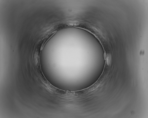 X0000096941444200802080848