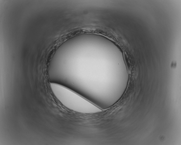 X0000096941445200802080848
