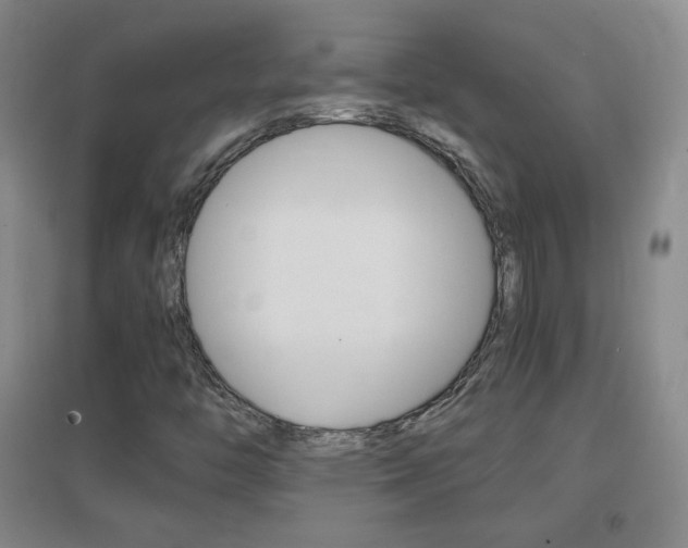 X0000096941446200802080848